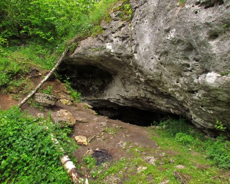 Rezerwat Góra Zborów